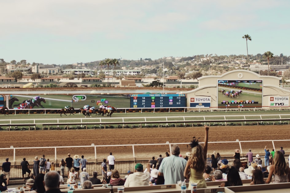Understanding Horse Racing Odds